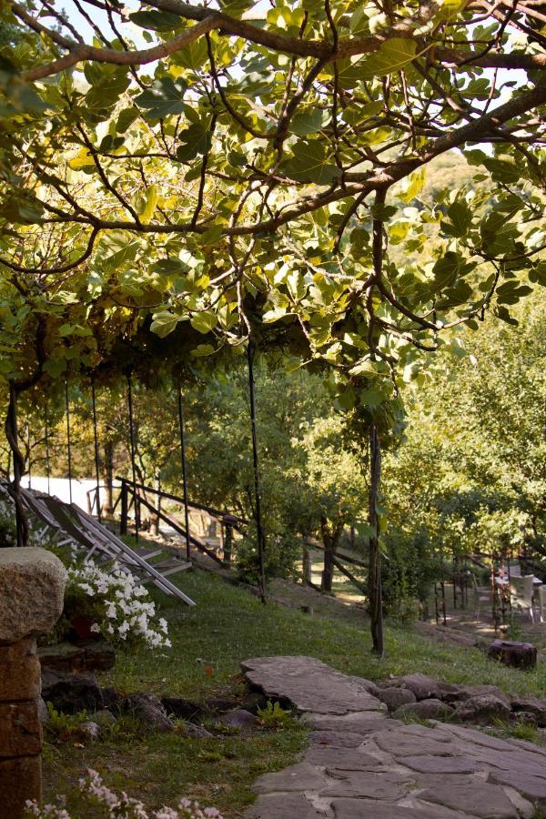 Penzion Borgo Casale Albareto  Exteriér fotografie