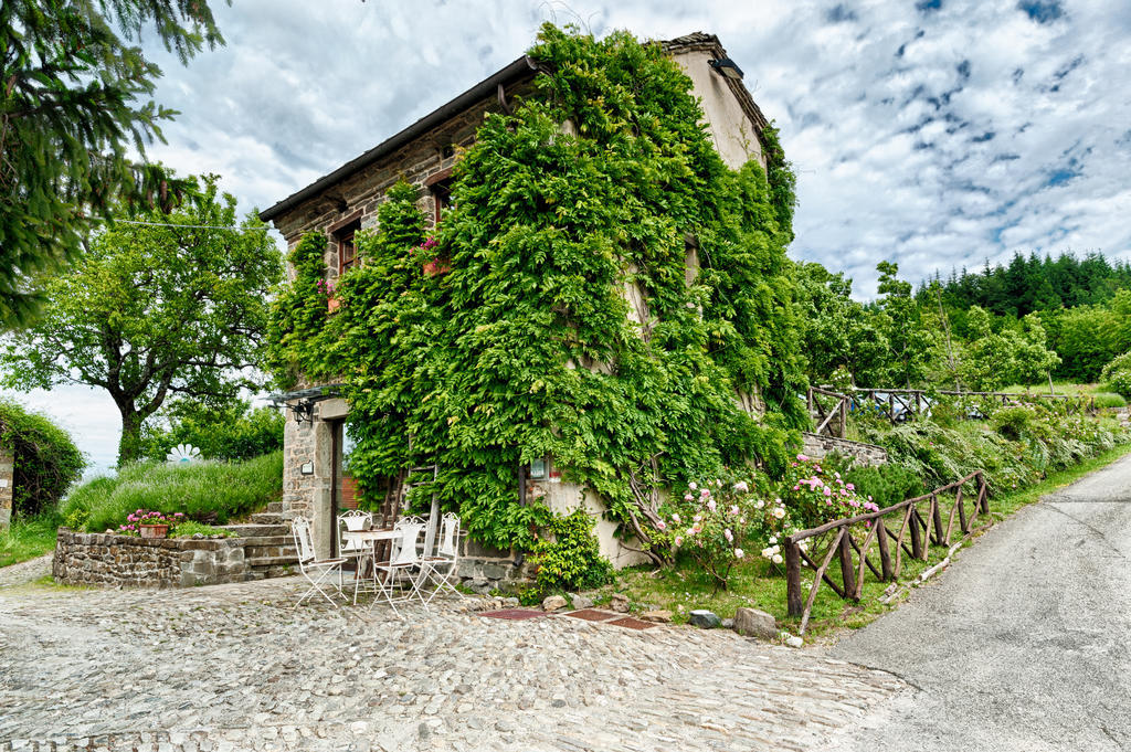 Penzion Borgo Casale Albareto  Exteriér fotografie